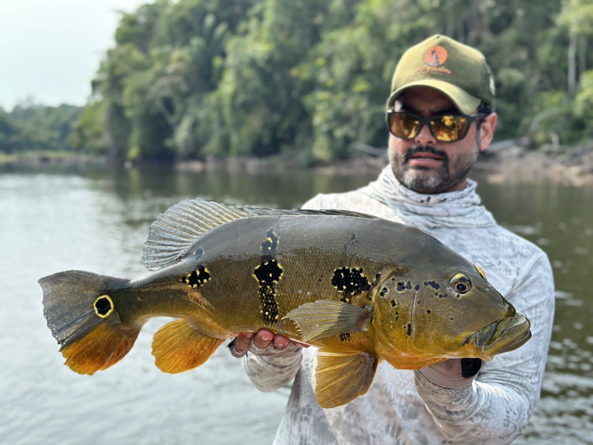  Brazil - Peacock Bass, Wolffish, and Catfish